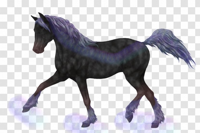 Icelandic Horse Mane Pony Stallion Foal - Equestrian - Howling Wolf Transparent PNG