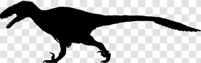 Deinonychus Velociraptor Utahraptor Austroraptor Achillobator - Carnivore - Dinosaur Transparent PNG
