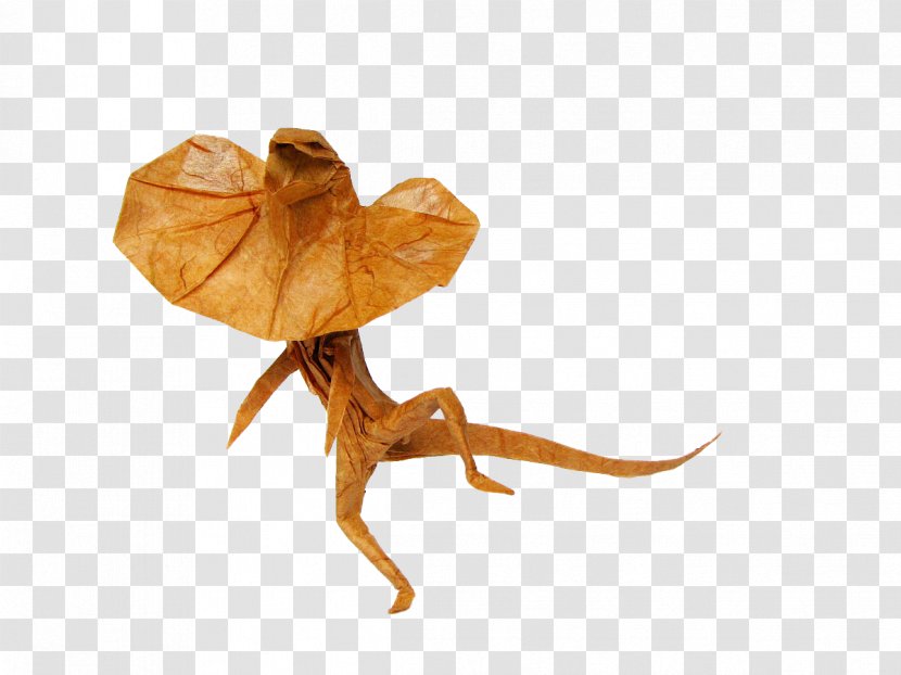 Frilled-neck Lizard Mitsubishi Mirage Paper Origami - Photography - Ruffle Transparent PNG