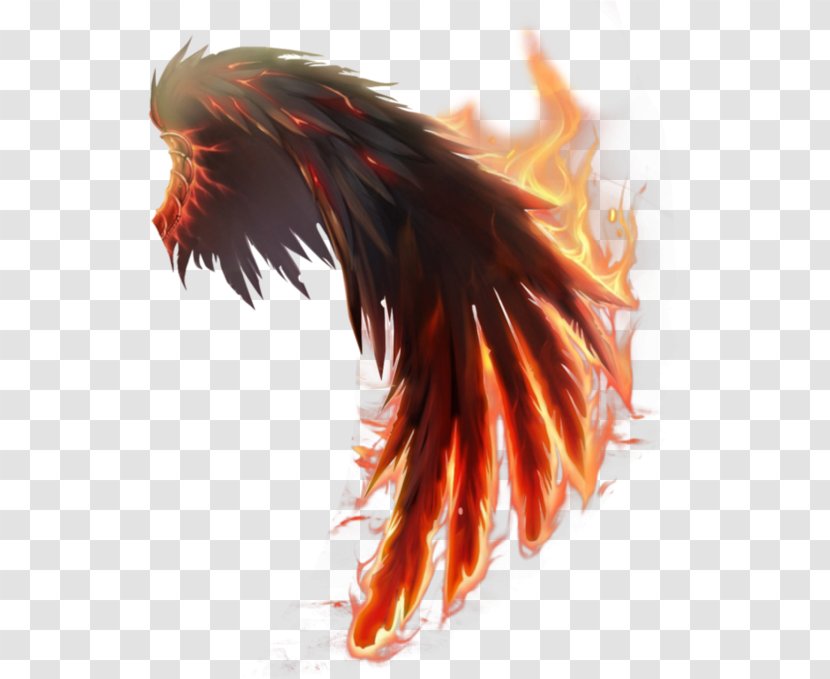 Wings Of Fire - Beak Transparent PNG