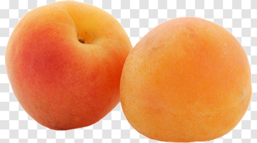 Dried Apricot Fruit - Frutas Transparent PNG