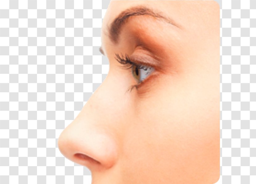 Massage Face Skin Scalp - Neck - Nose Transparent Transparent PNG