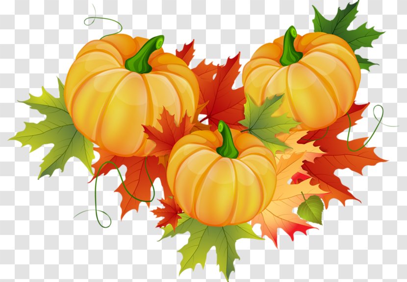 Autumn Pumpkin Clip Art - Cucurbita Transparent PNG