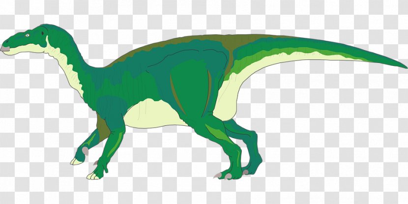 Iguanodon Tyrannosaurus Brachiosaurus Dinosaur Stegosaurus - Velociraptor Transparent PNG