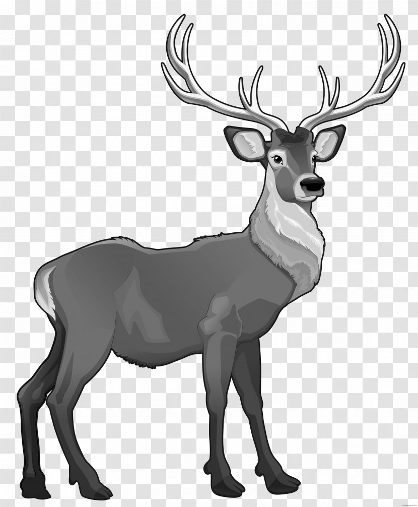 Reindeer Santa Claus Rudolph Clip Art - Mammal Transparent PNG