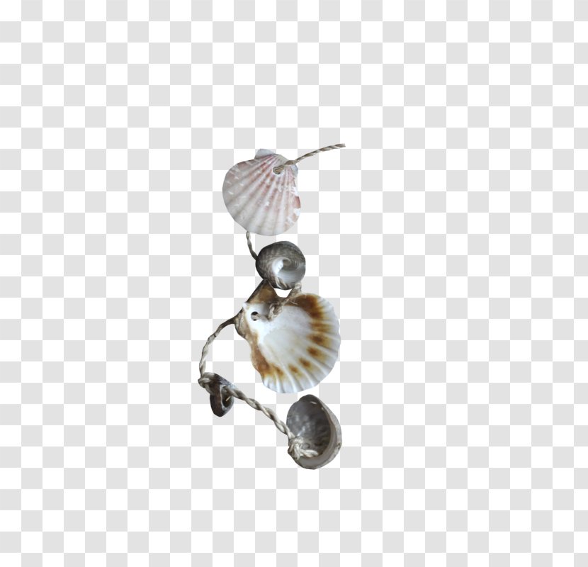 Seashell Clip Art - Pectinidae - Shell Jewelry Transparent PNG