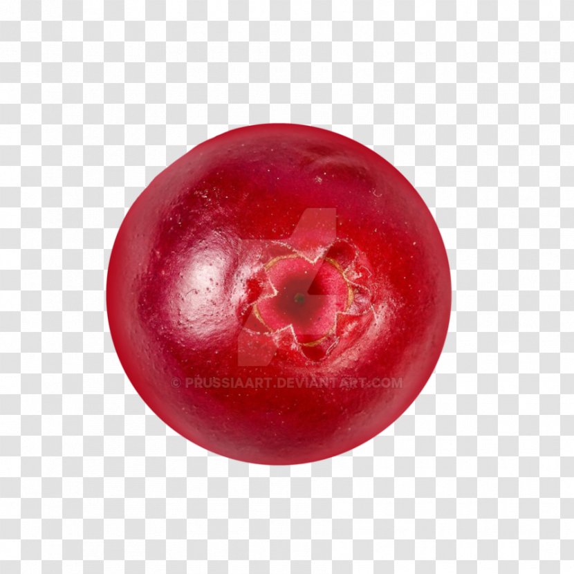 Cranberry Fruit Food - Cranberries - Zipper Isolated Transparent PNG