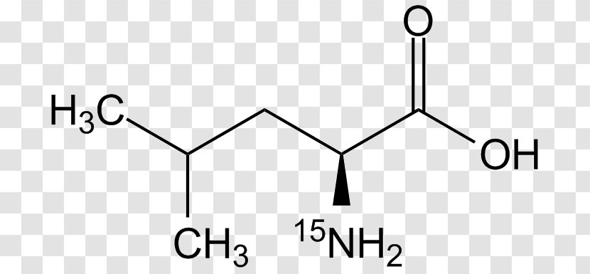 Valeric Acid Amino Methionine 2-Ethylhexanoic - Text - Appositive Silhouette Transparent PNG