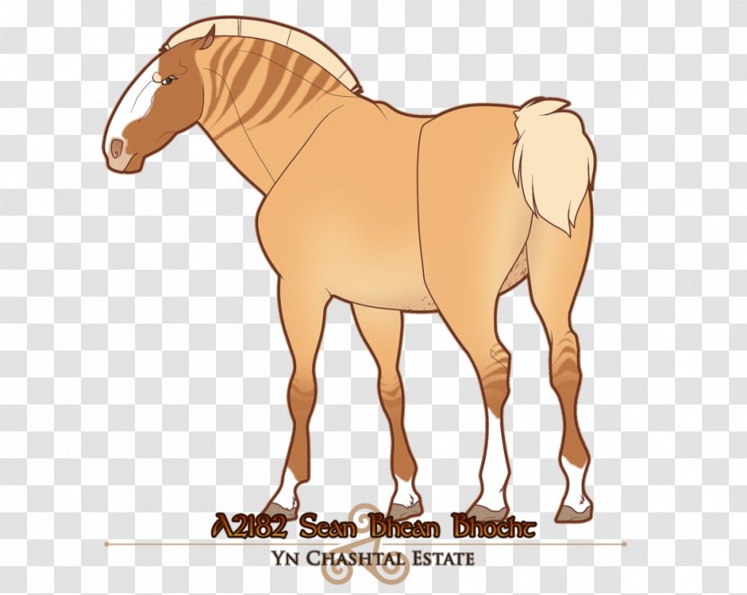 Mustang Foal Stallion Colt Halter - Horse Transparent PNG
