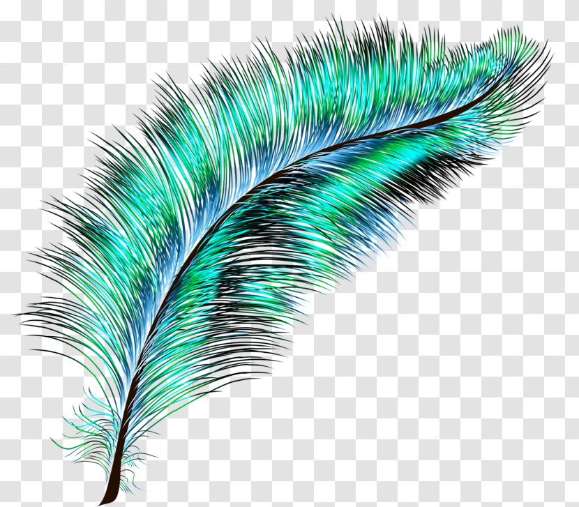 Bird Feather Drawing - Blue Transparent PNG