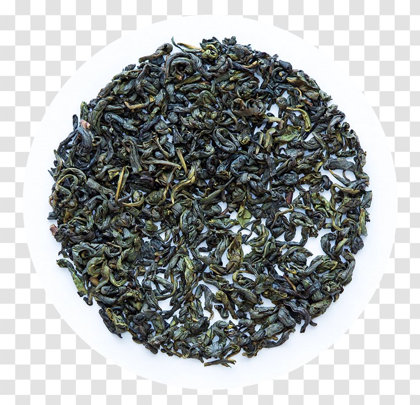Green Tea Oolong Lapsang Souchong Nilgiri - Bancha - Blueberry Transparent PNG