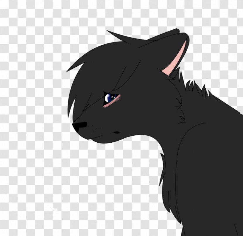Cat Whiskers Mammal Dog Horse - Snout - Sorry Transparent PNG