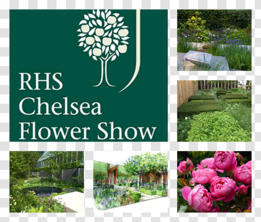 Chelsea Flower Show Grassform Royal Hospital Horticultural Society - Plant - Academy Transparent PNG