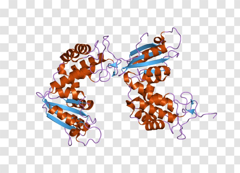Art Clothing Accessories Fashion Font - Accessory - Adenosine Diphosphate Receptor Inhibitor Transparent PNG