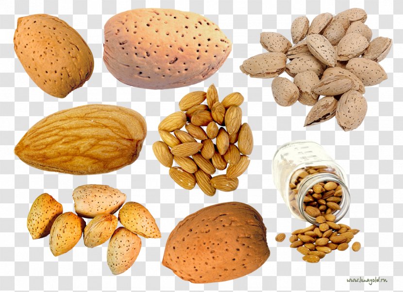 Peanut Vegetarian Cuisine Almond - Nut Transparent PNG