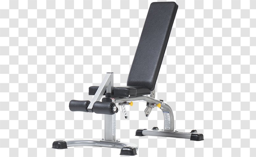 Bench TuffStuff Fitness International Inc. Exercise Equipment Centre Strength Training - Weights - Gold's Gym Institute Transparent PNG