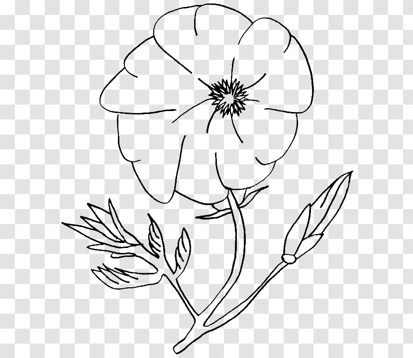 Coloring Book Christmas Pages Poppy Drawing - Black And White - Branch Transparent PNG