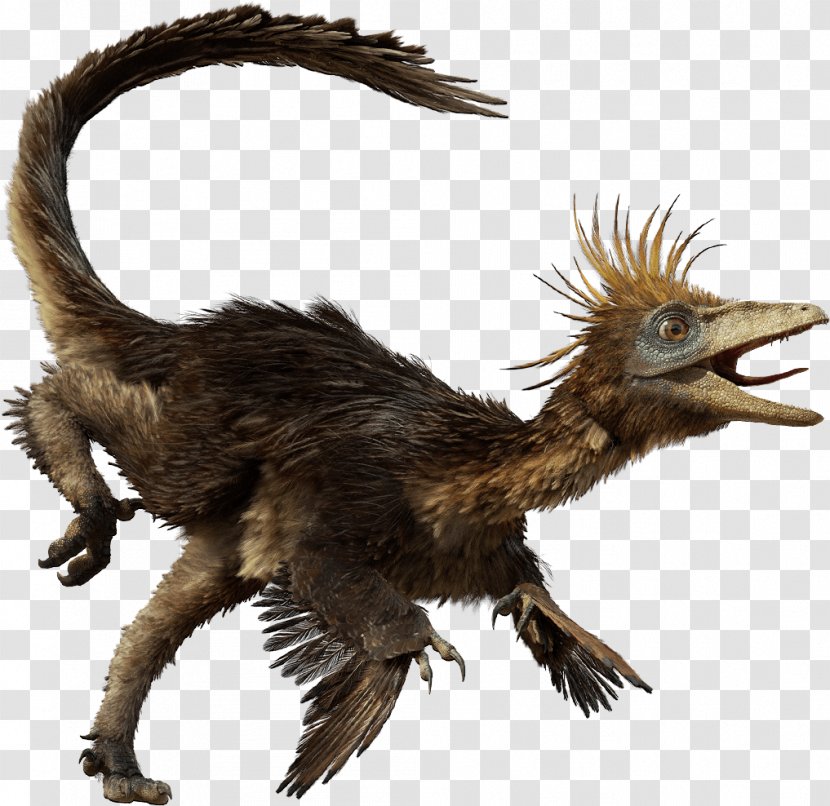 Troodon Velociraptor Dromaeosaurus Edmontosaurus Gorgosaurus - Dinosaurs Transparent PNG
