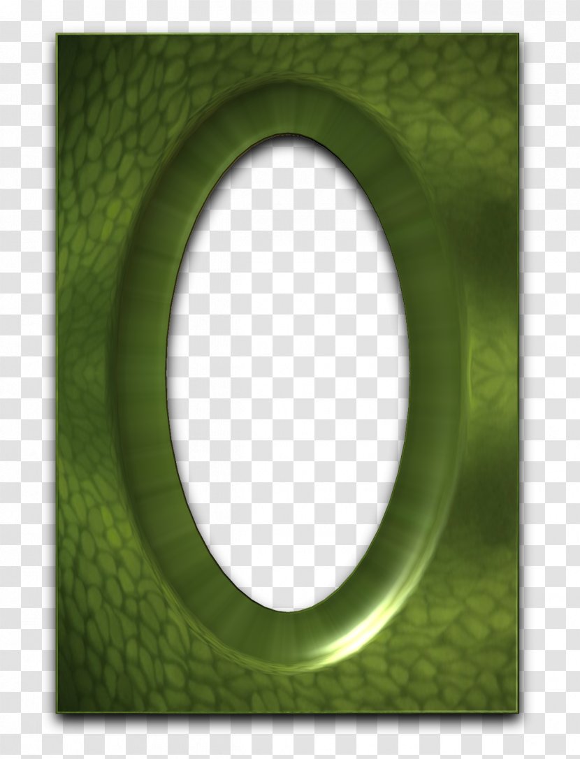 Green Picture Frames Circle Font - Frame - Wisteria Transparent PNG