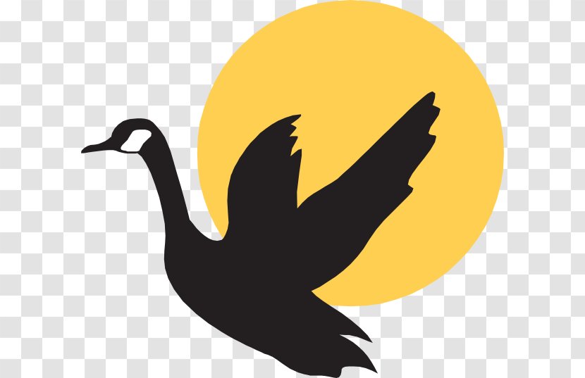 Goose Mallard Duck Bird - Silhouette - Little Yellow Transparent PNG