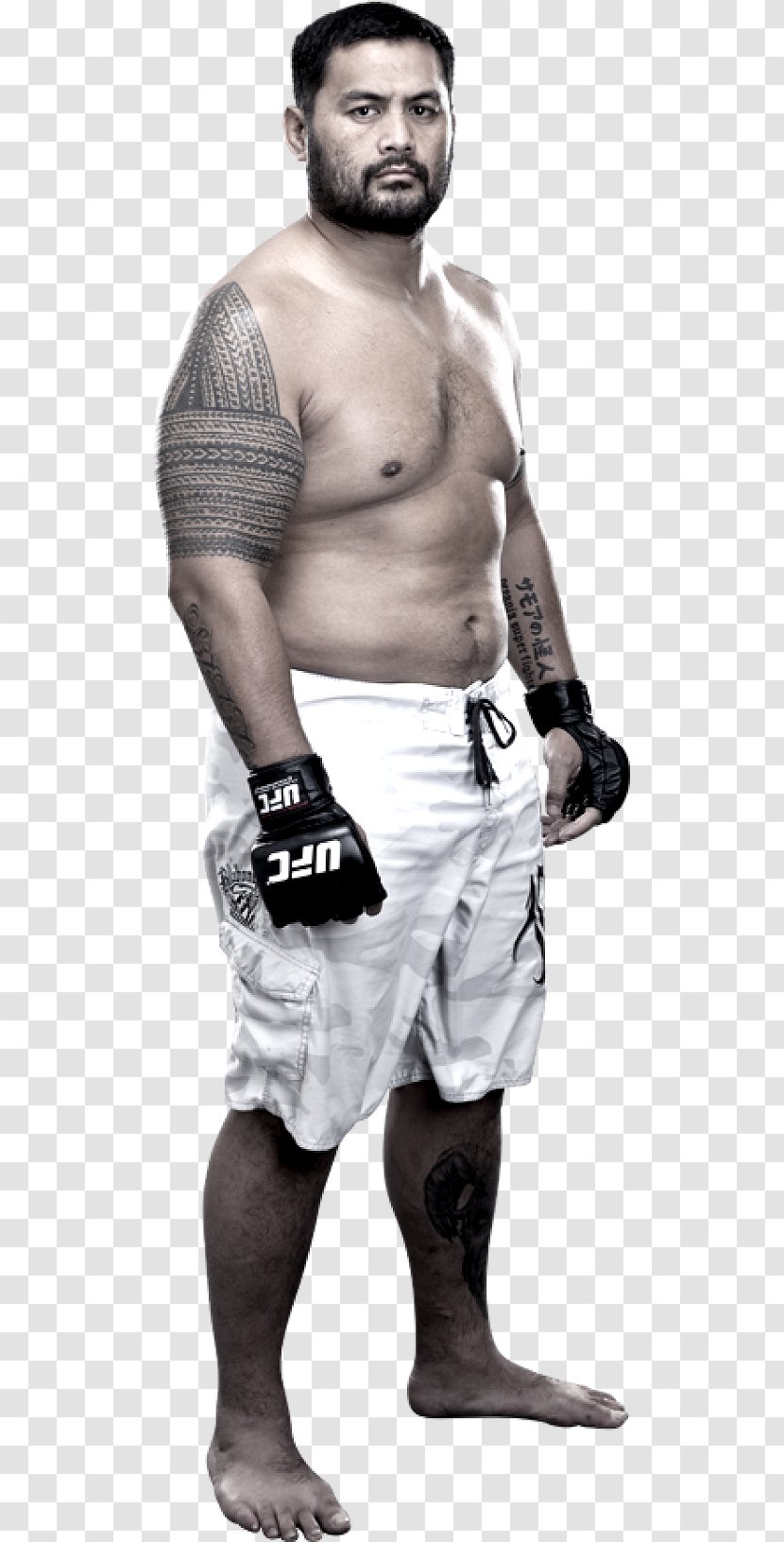 Mark Hunt UFC 180: Werdum Vs. Kickboxing Male Sport - Heart - Ufc-3 Transparent PNG