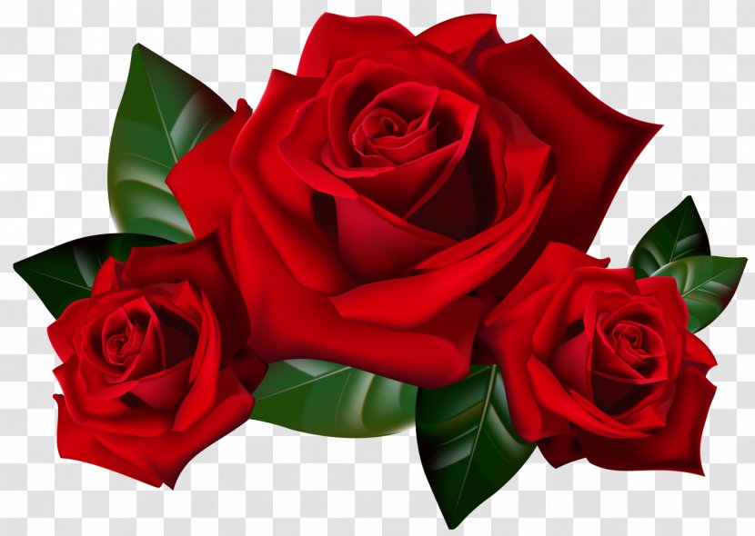 Rose Flower Clip Art - Bouquet - Red Transparent PNG