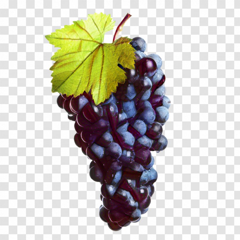 Grape Leaf - Mukuzani - Accessory Fruit Blackberry Transparent PNG
