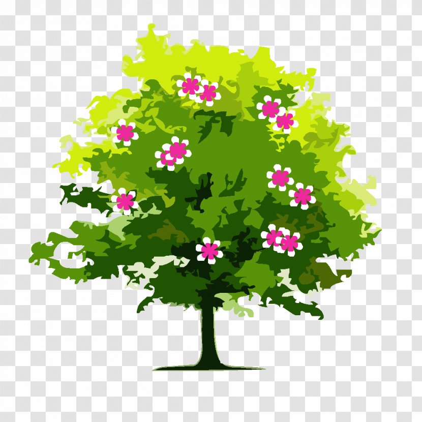 Alamanda Parklands Tree Afacere Service - Floral Design - Fond Transparent PNG