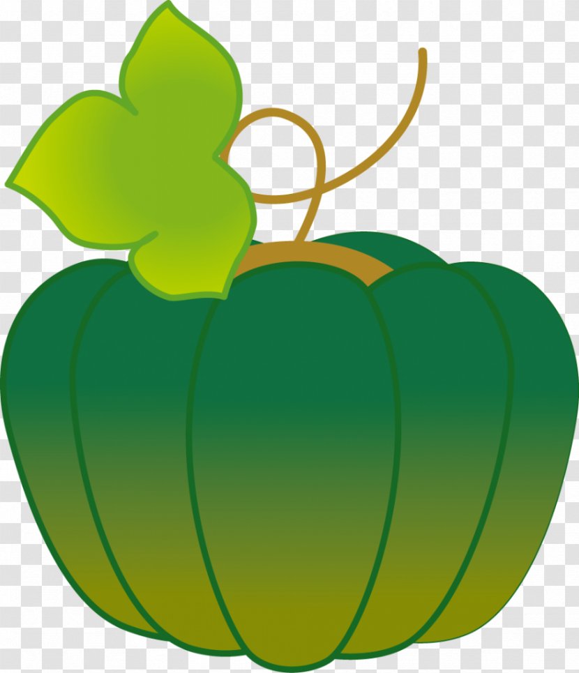 Cucurbita Kabocha Child Care Jardin D'enfants Pumpkin - Leaf Transparent PNG