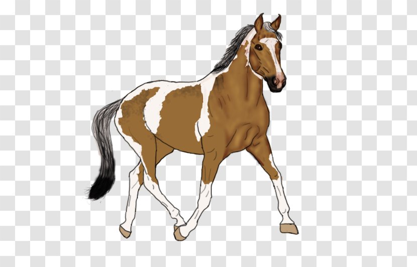 Foal Stallion Mustang Mare Bridle - Horse Harnesses Transparent PNG
