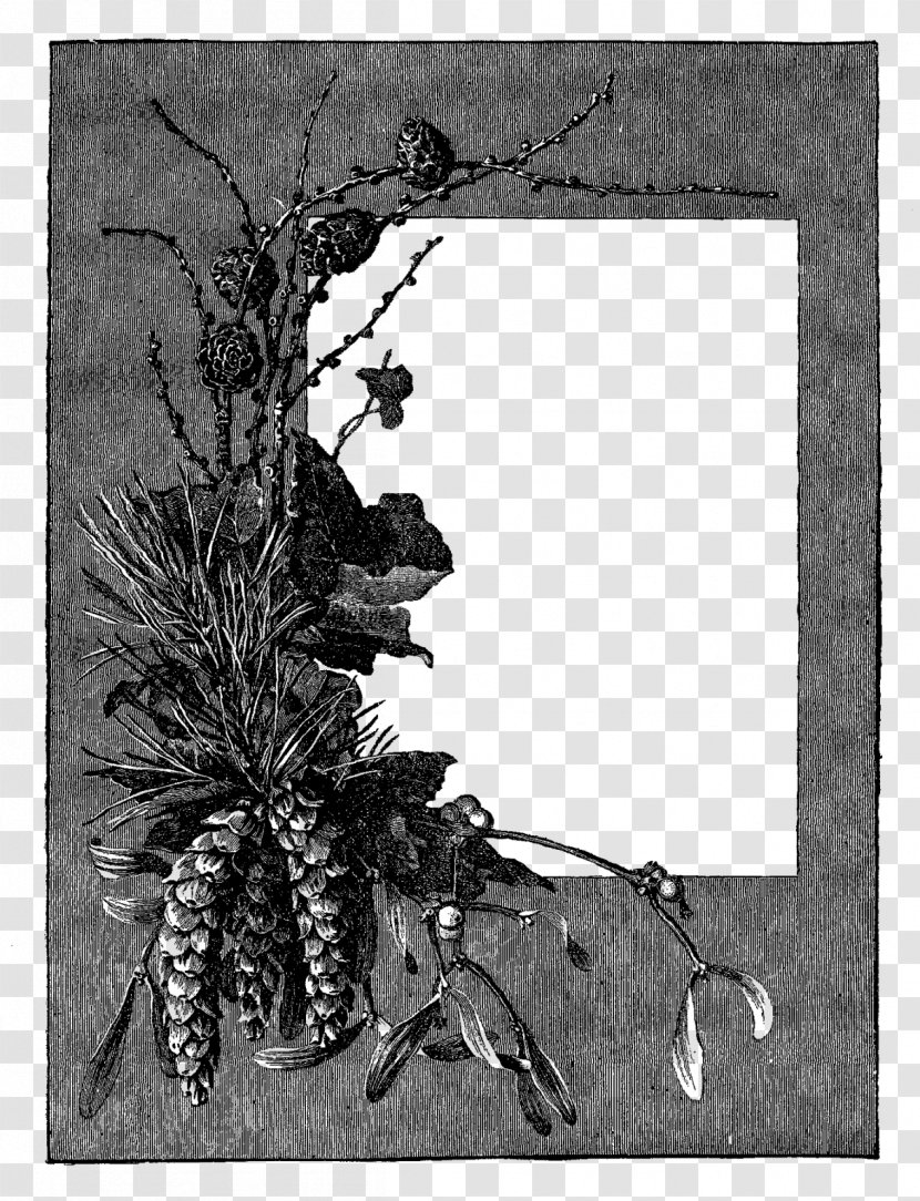Picture Frame Clip Art - Branch - Gray Flower File Transparent PNG