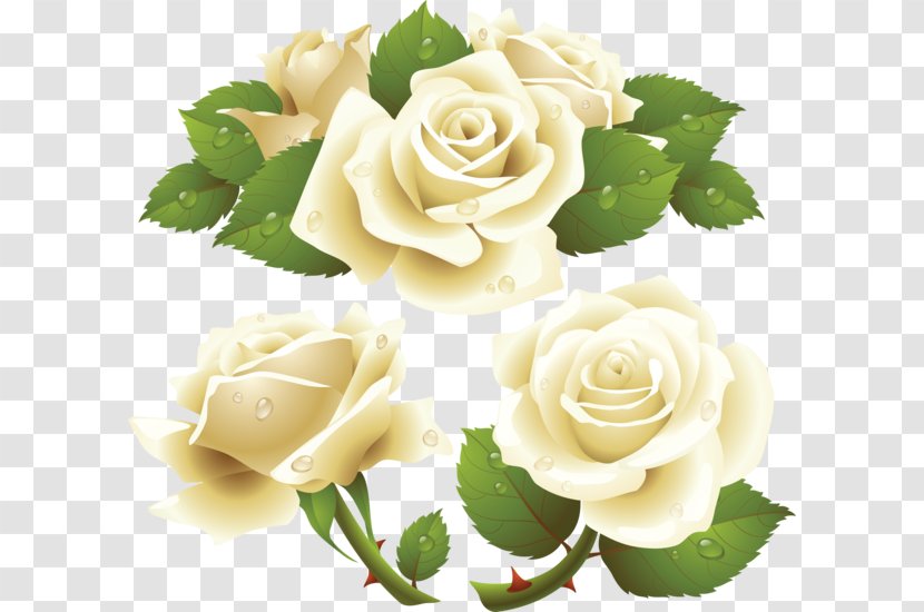 Rose Clip Art - Plant Transparent PNG