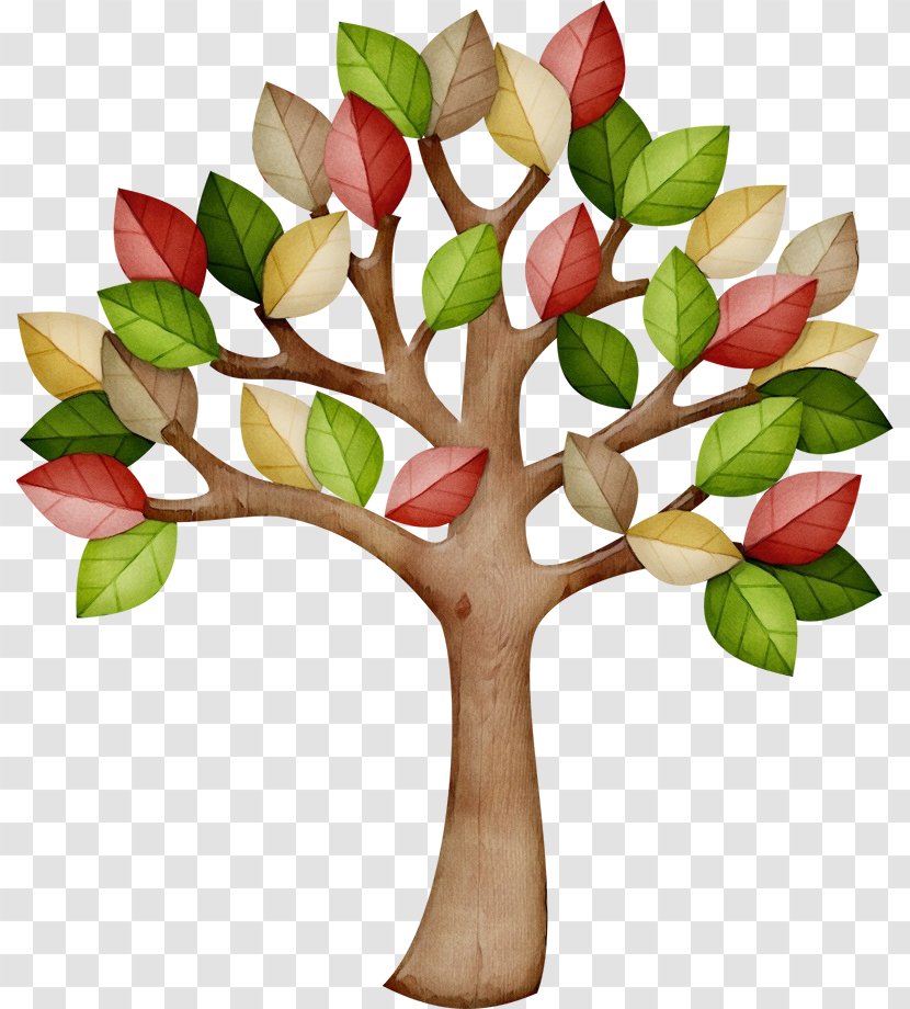 Oak Tree Drawing - Branch - Arctostaphylos Anthurium Transparent PNG