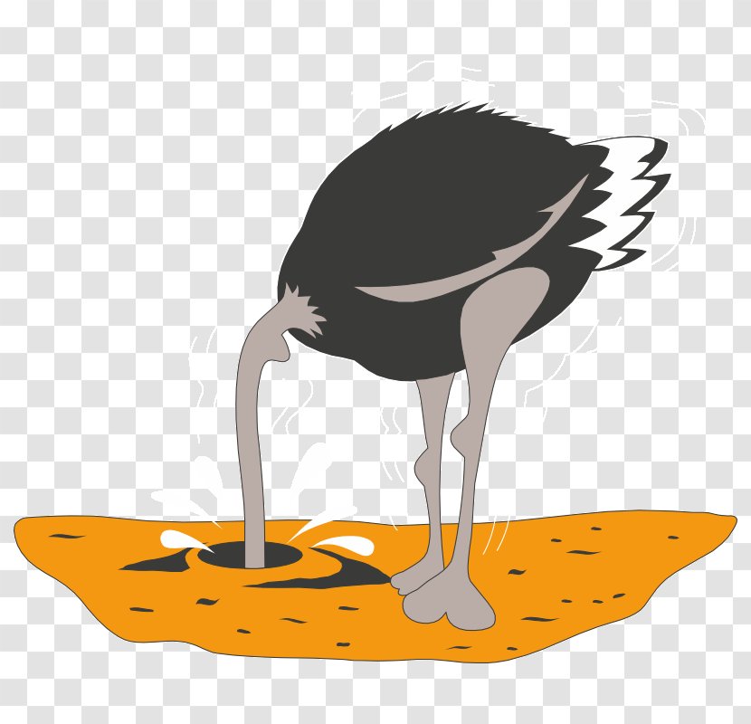 Common Ostrich Drawing Clip Art - Water Bird - Ratite Transparent PNG