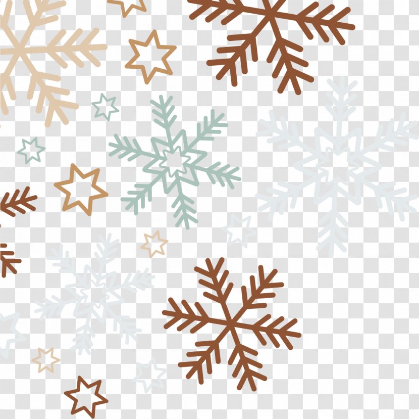 Pattersons Flowers Snowflake Euclidean Vector - Background Snow Promotions Transparent PNG