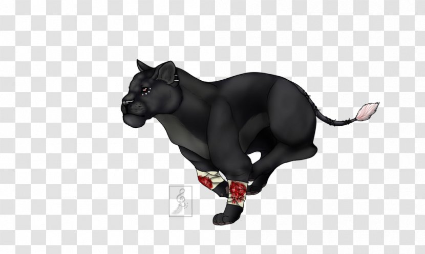 Puma Snout Black M Panther - Small To Medium Sized Cats - Running Clock Transparent PNG