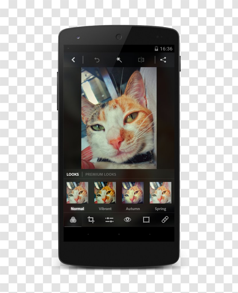 Smartphone Feature Phone Cat Multimedia Electronics - Like Mammal Transparent PNG
