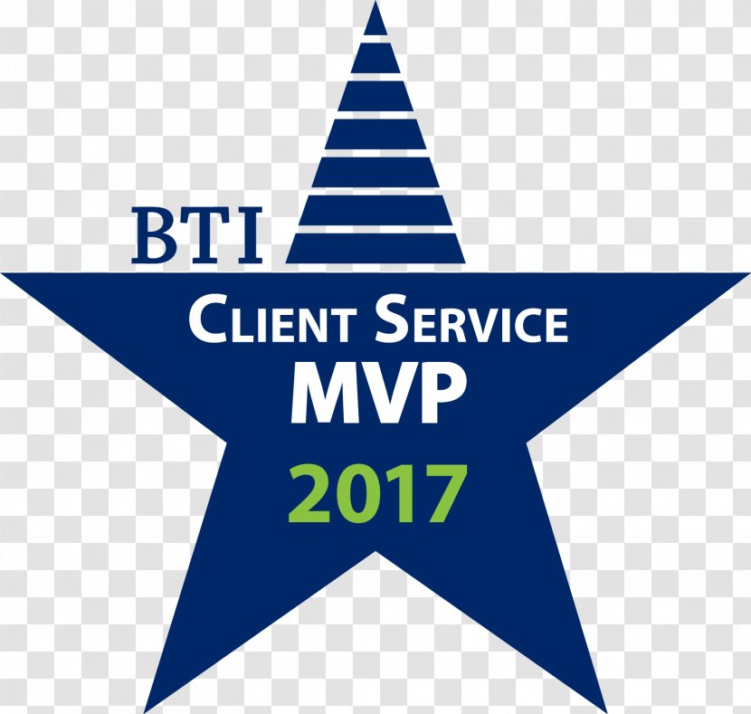 BTI Consulting Group Lawyer Law Firm Star Service - United States Transparent PNG