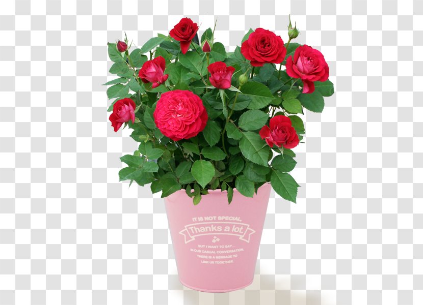 Flower Bouquet Rose Delivery - Birthday Transparent PNG