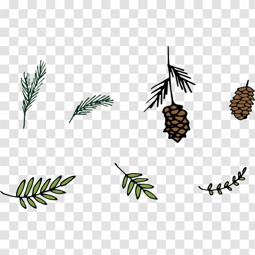 Pine Leaf Euclidean Vector - Matsutake Leaves Elements Transparent PNG