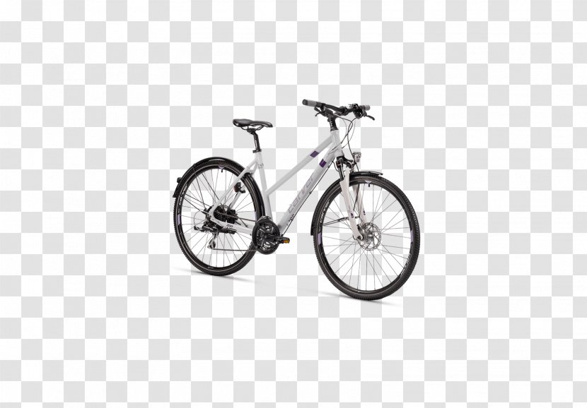 Electric Bicycle Cycling Mountain Bike Pedego Bikes - Fork Transparent PNG