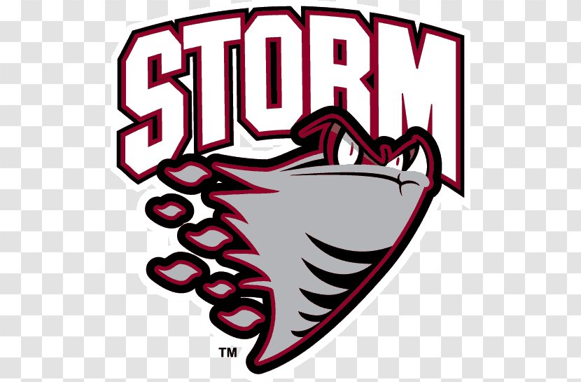 Guelph Storm Hockey Club Ontario League Ice Erie Otters - Logo Transparent PNG