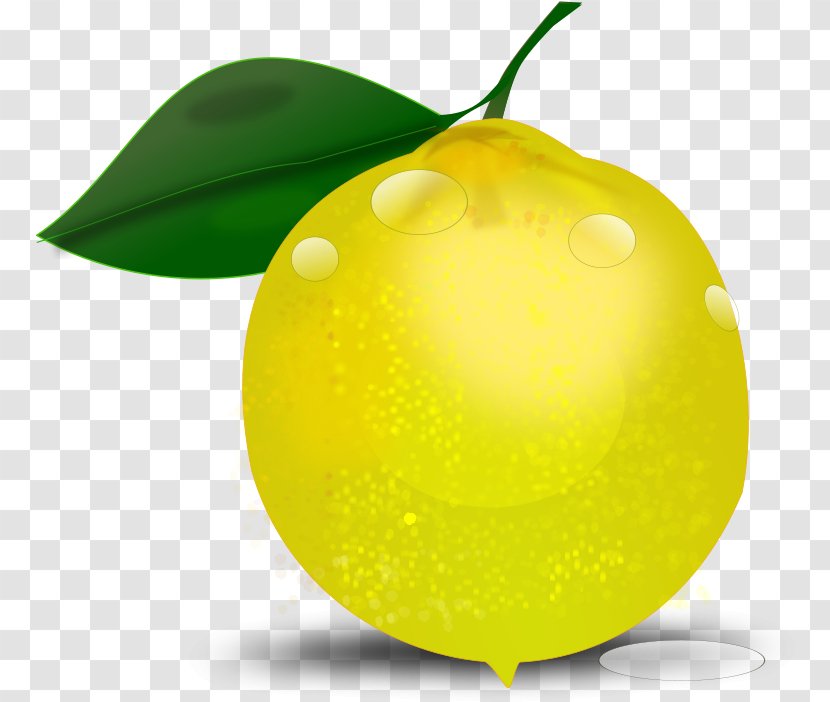 Lemon Tree - Yellow - Natural Foods Accessory Fruit Transparent PNG