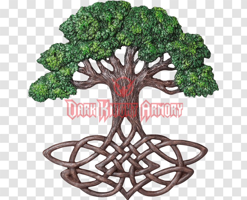 Tree Of Life Celtic Knot Sacred Trees Root Transparent PNG