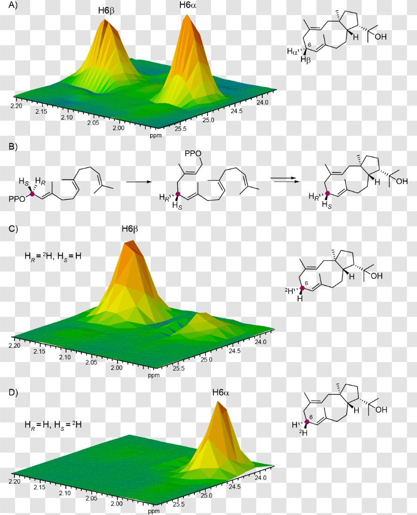 Mass Chromatogram Target Peptide Diterpene Leaf Clip Art - Gas Chromatography - Arabic Calligraphy Transparent PNG