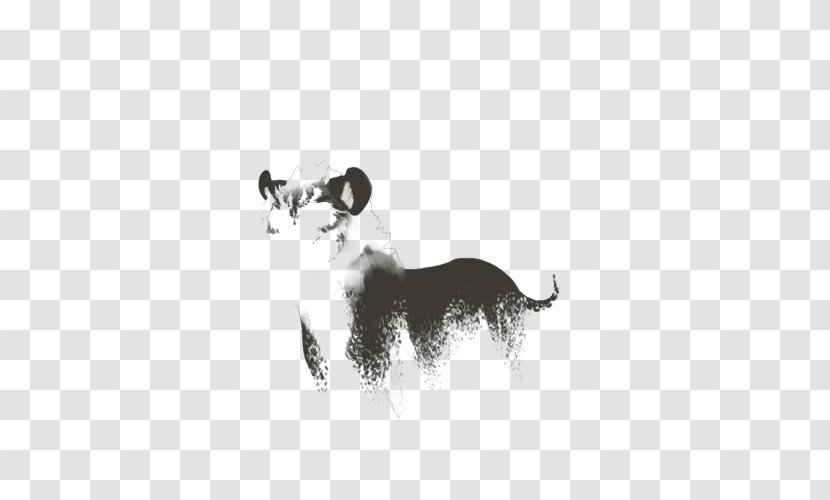 Whiskers Dog Cat Drawing Snout - Wildlife Transparent PNG