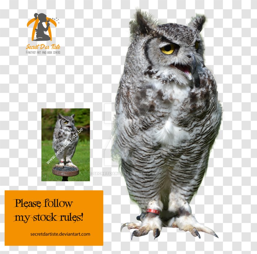 Great Grey Owl Bird Of Prey Animal - Wildlife - Owls Transparent PNG