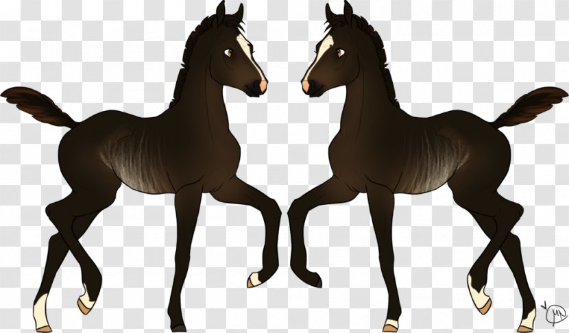 Mustang Foal Colt Mare Stallion - Horse Tack Transparent PNG