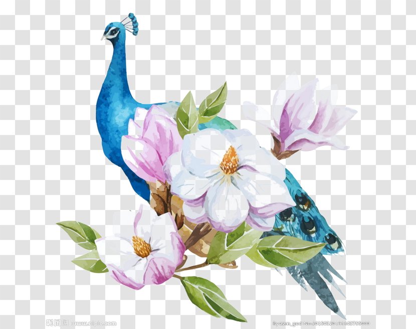 Blue Peacock - Stock Photography - Illustration Transparent PNG