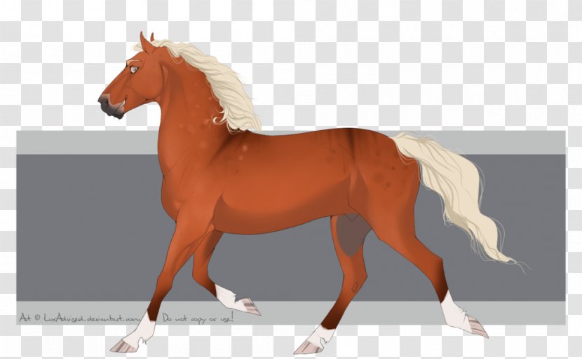 Mane Mustang Stallion Foal Mare - Horse Supplies Transparent PNG